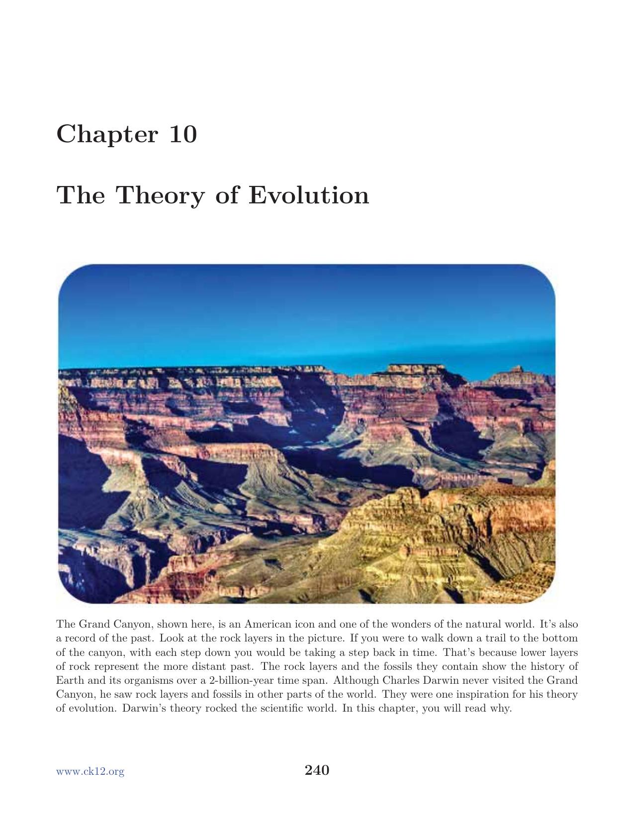 Biology Chapter10